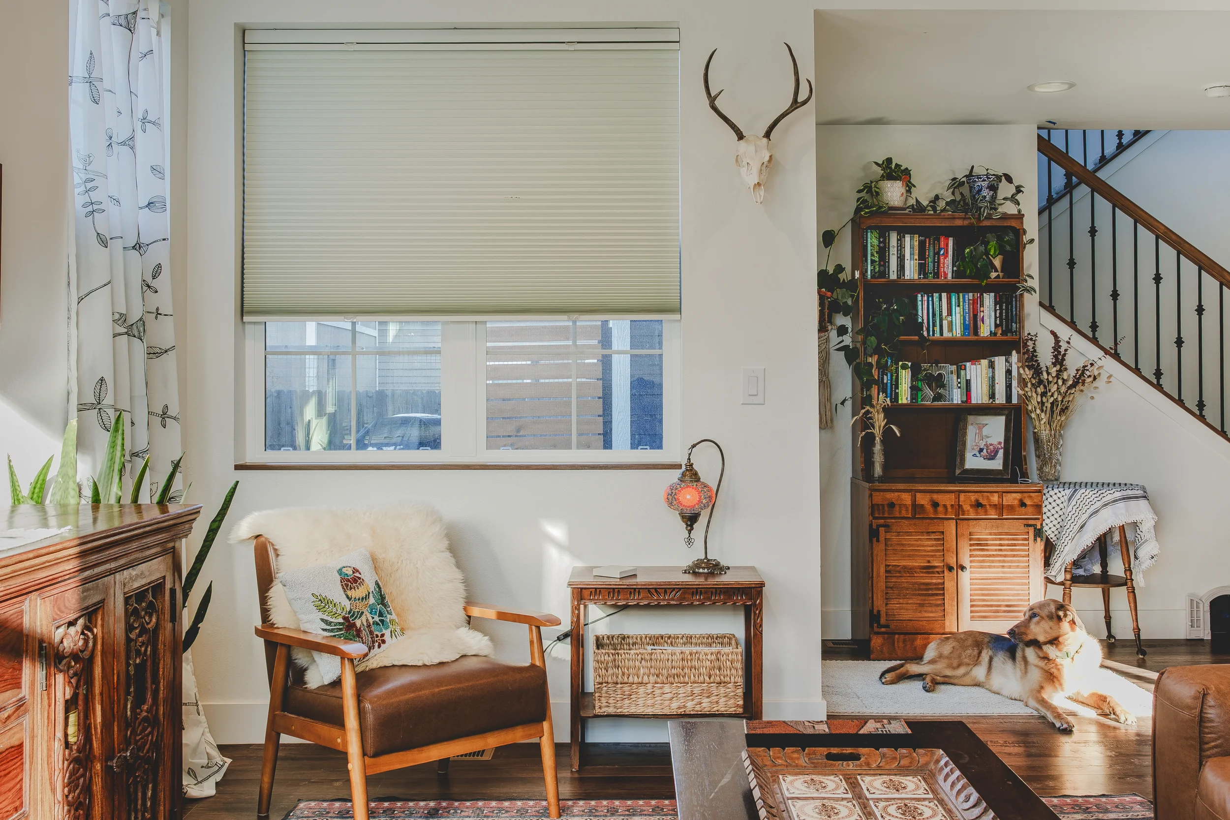 cozy-living-room-with-dog-interior-photography-colorado.webp