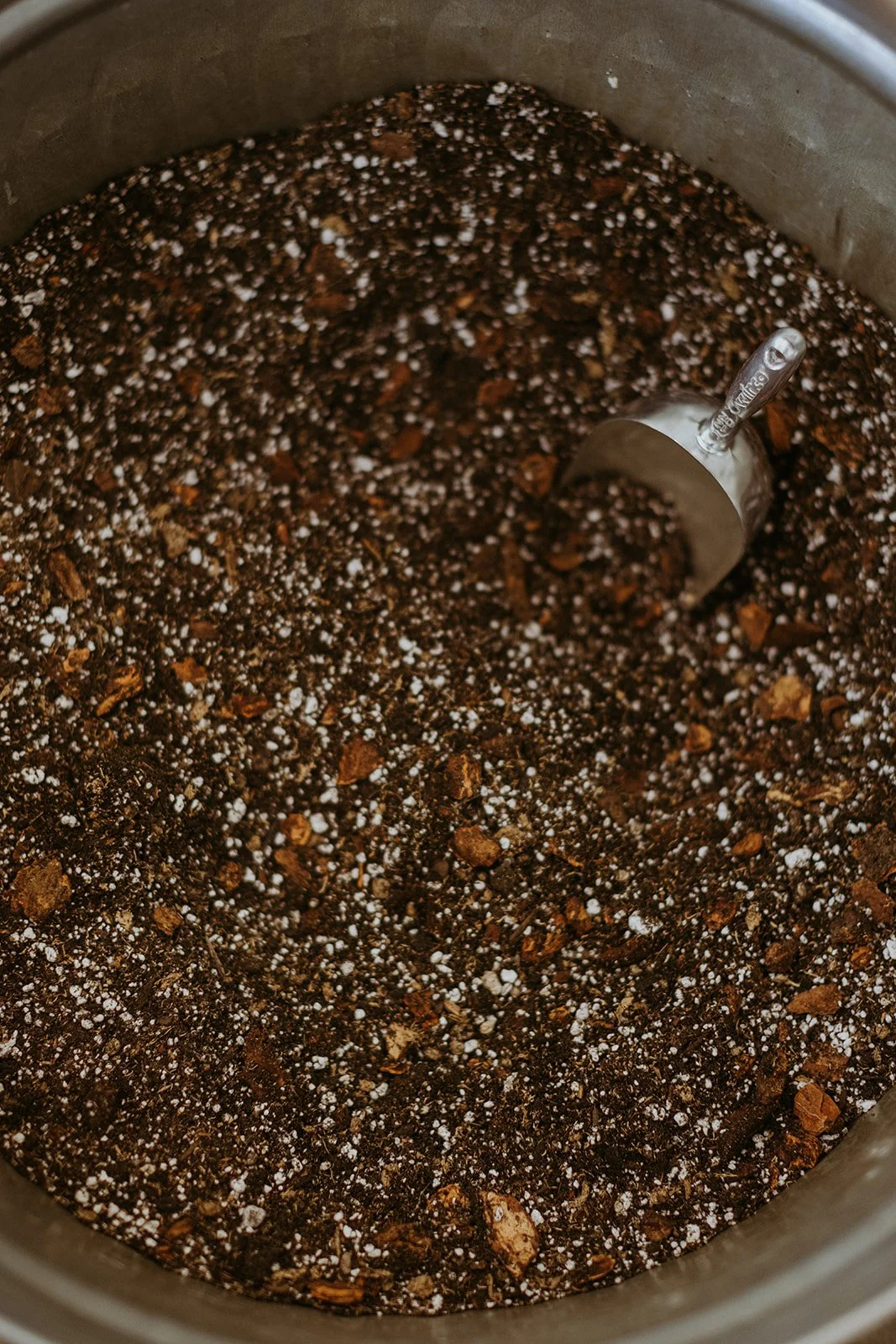 The dirt on dirt: choosing the right soil for your houseplants