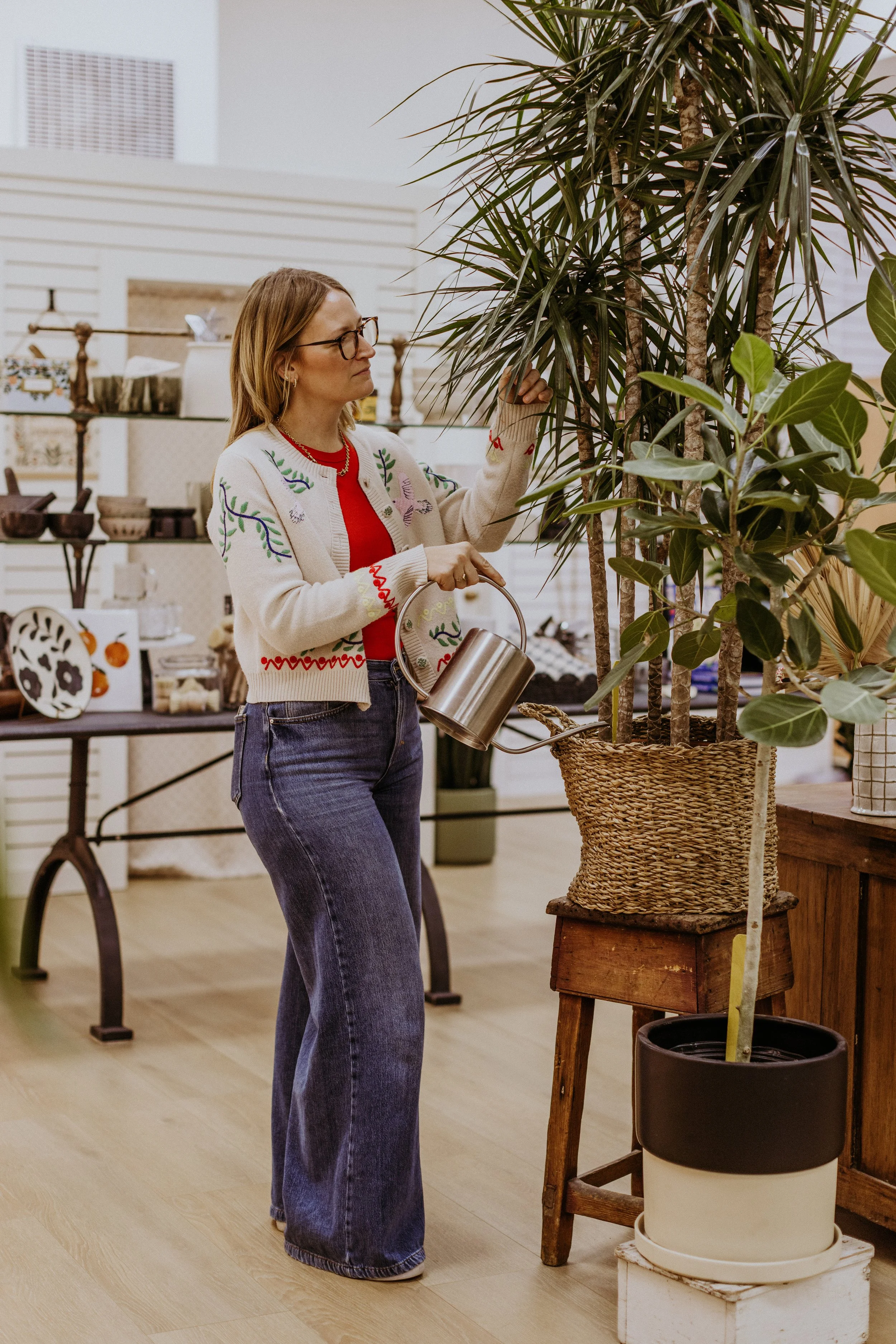 Fall Is Coming: What Your Houseplants Want You to Know