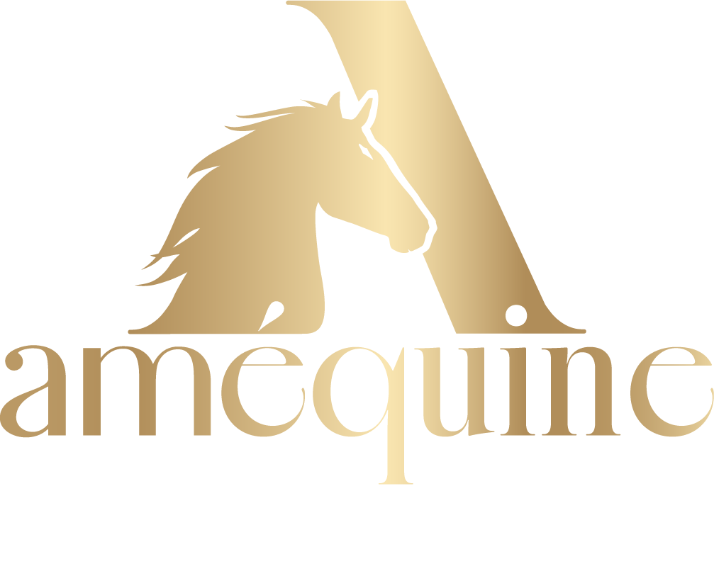 Amequine