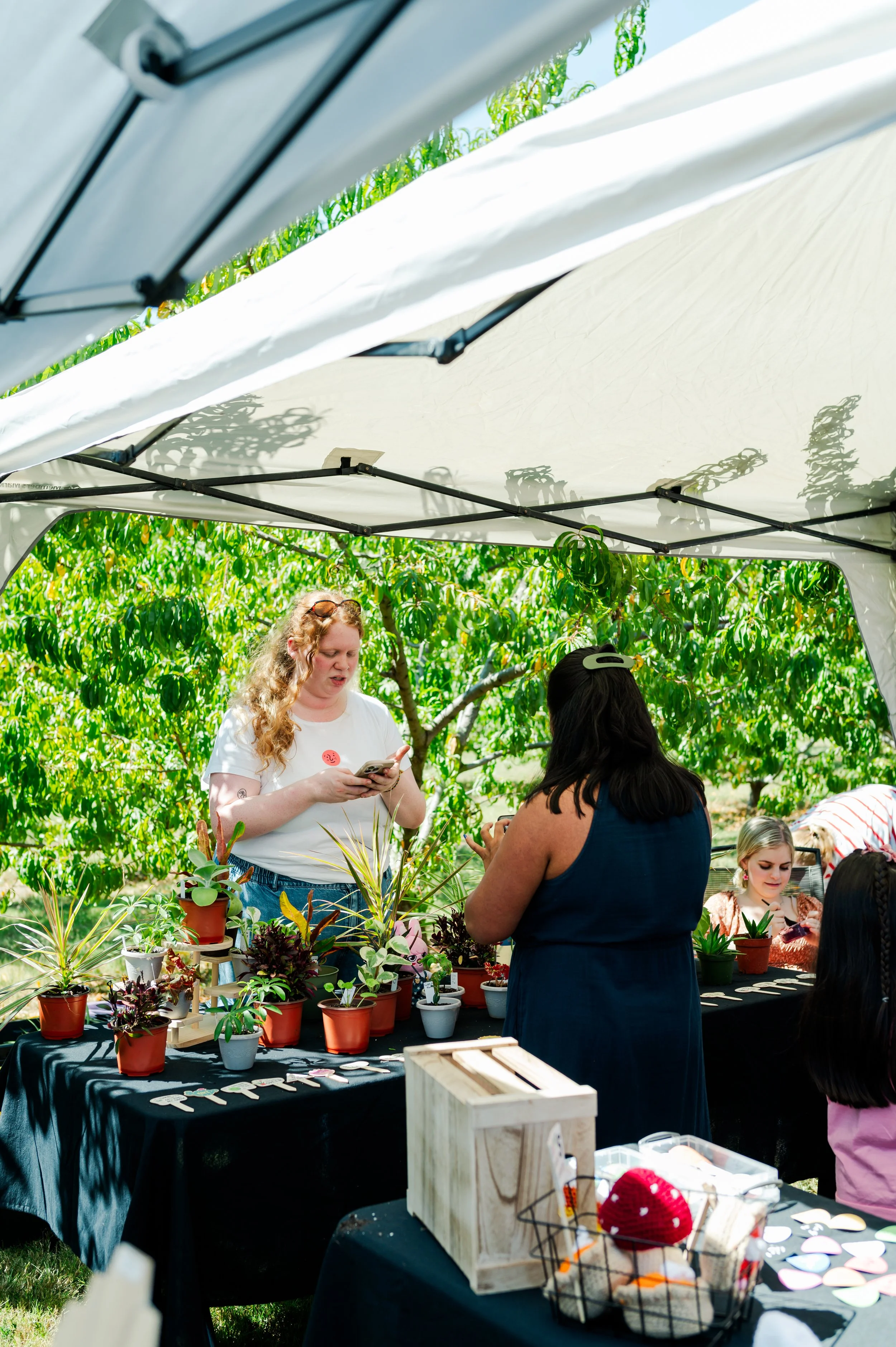 People at a plant crafting booth outdoors under a white canopy, with potted plants and succulents on black tablecloths, surrounded by trees.