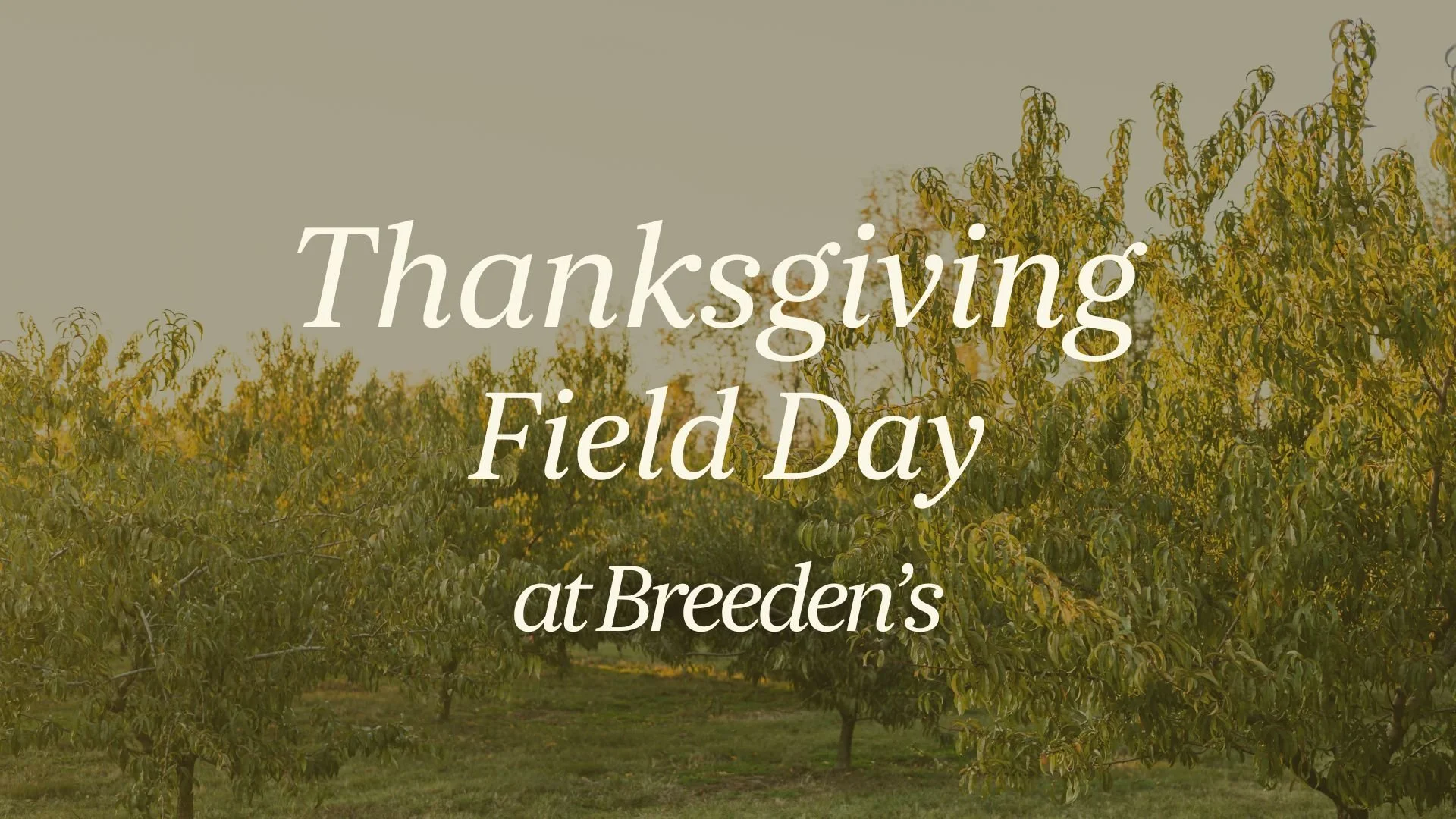 Breeden’s Thanksgiving Field Day