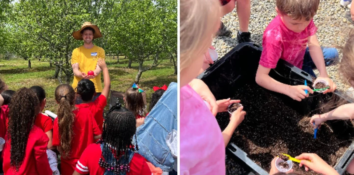 Seasonal Events and Festivals at Lebanon Orchards: Your Ultimate Guide to Year-Round Fun