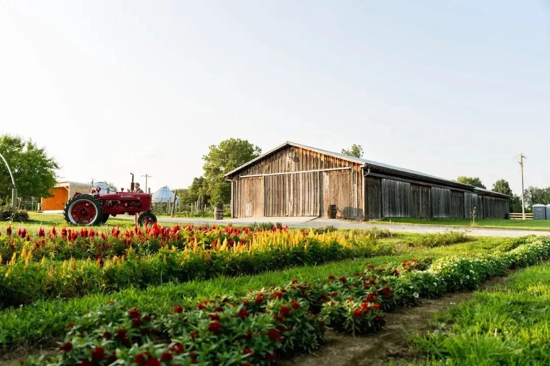 Spotlight on Ohio’s U-Pick Farms: Why Lebanon is a Top Destination