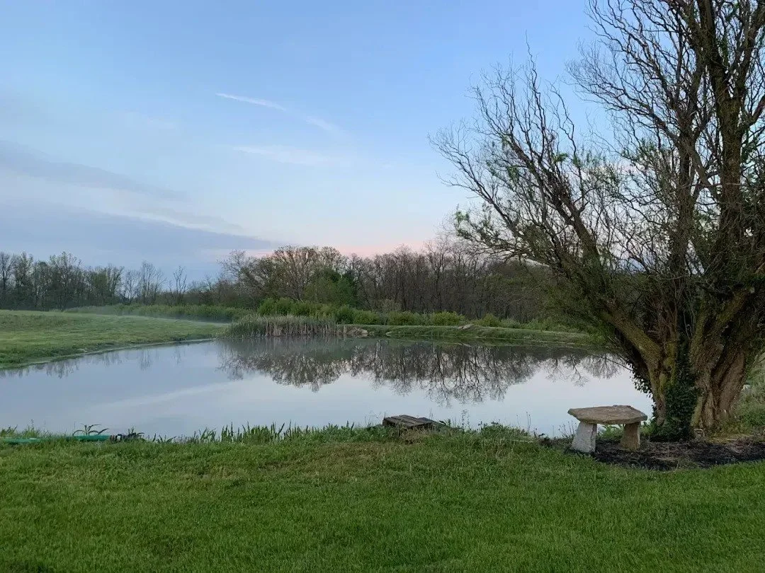 Fall Harvest in Lebanon: What Visitors Can Expect This Season