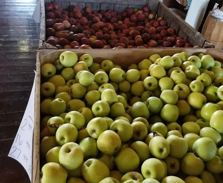 Guide to the Best Apple Cider and Donuts in Lebanon, OH