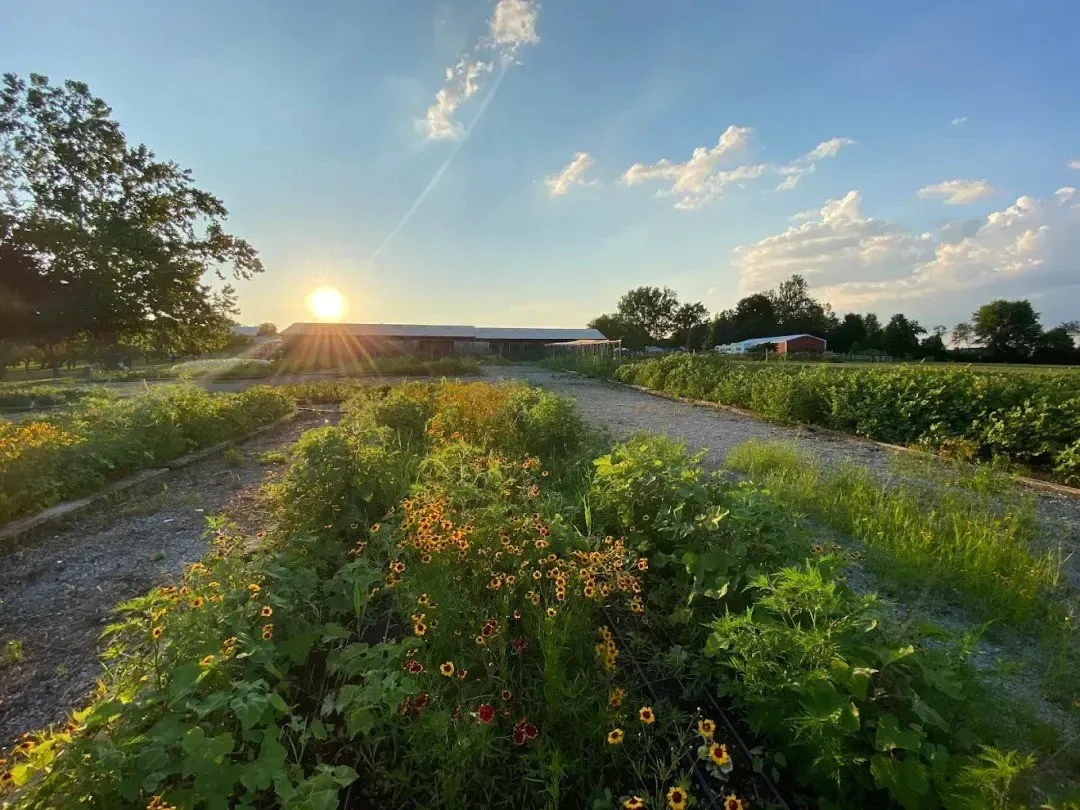 A Local’s Guide to Hidden Gems and Seasonal Delights at Lebanon Orchards
