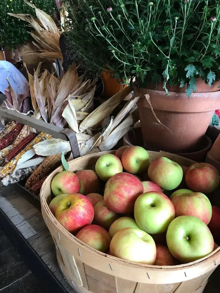 Why Old Apple Orchards Produce the Most Flavorful Apples
