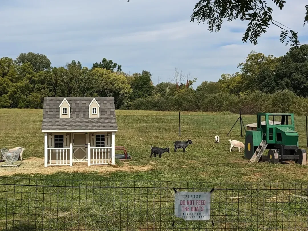 Local Apple Orchards vs Commercial Farms