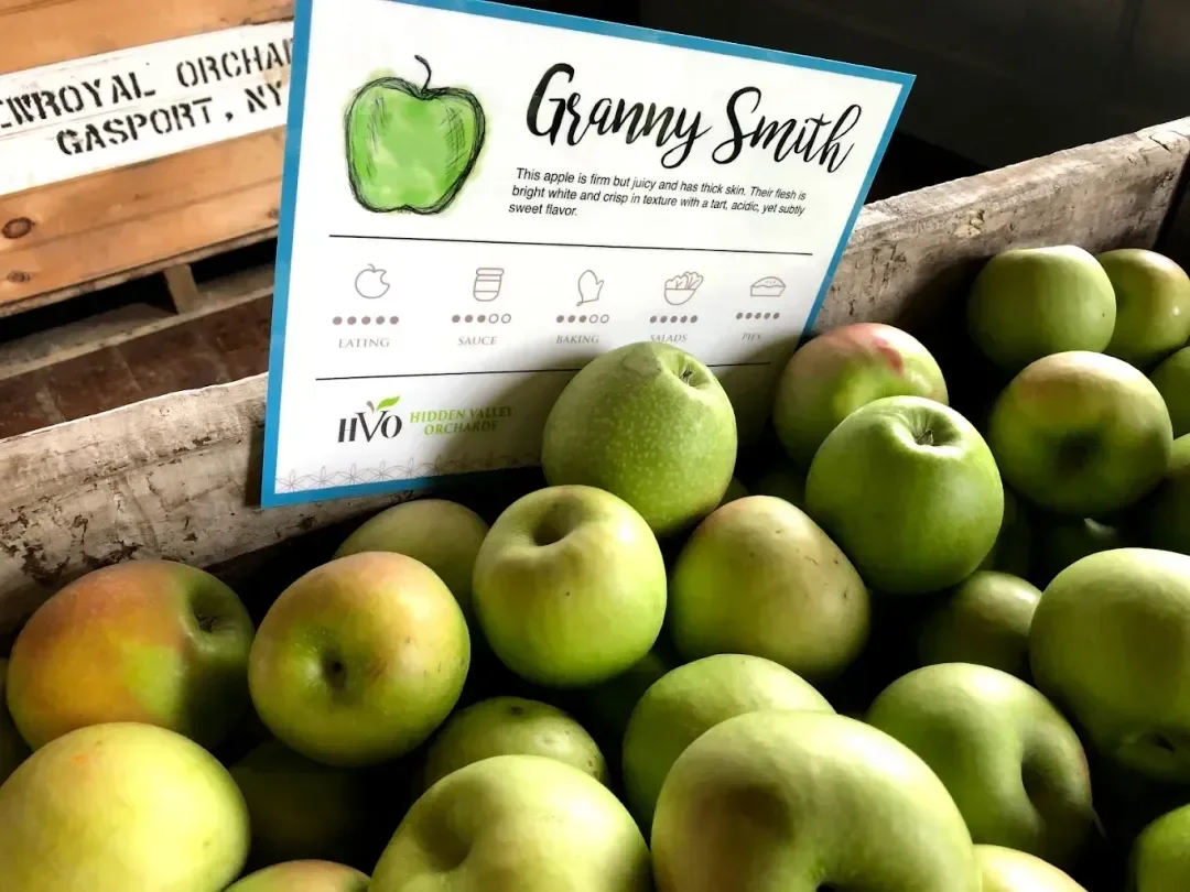 First-Time Apple Orchard Visit, What to Expect