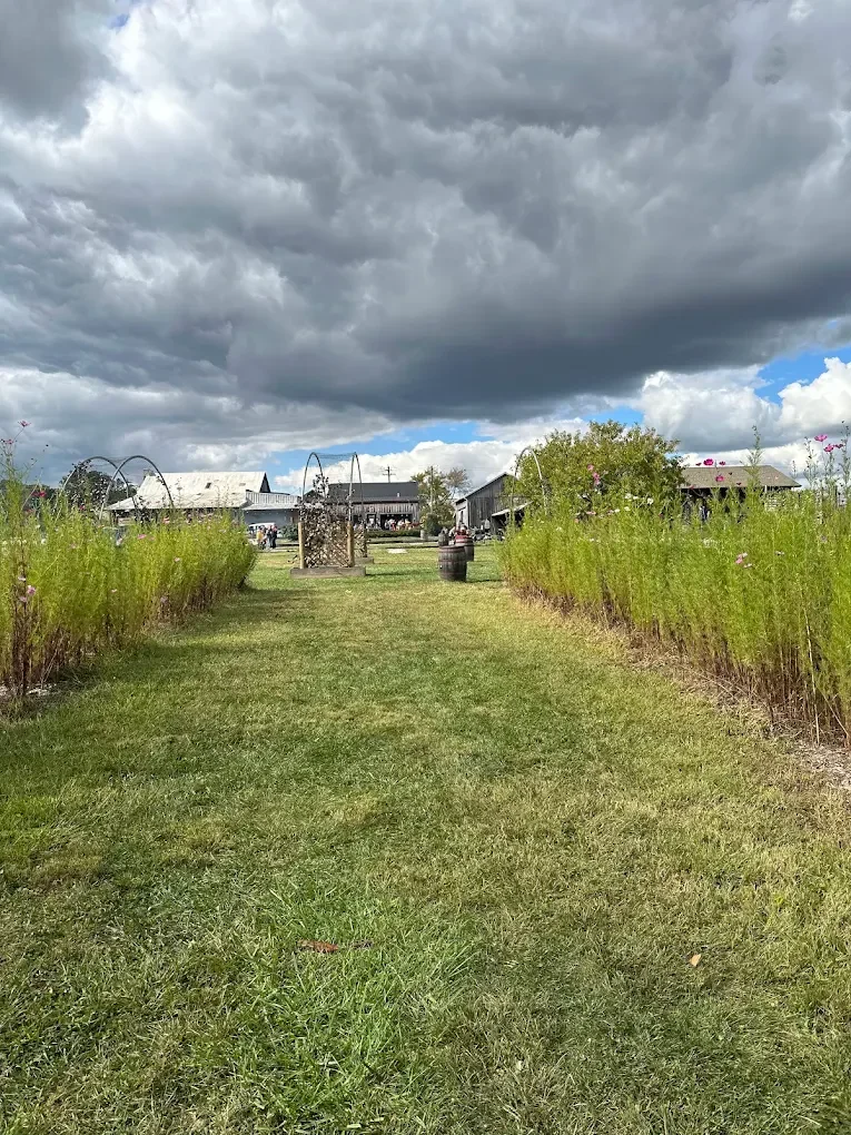 Apple Orchard FAQs Answered