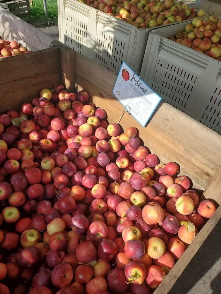 Why Hidden Valley Orchards’ Apples Taste Better Than Store-Bought Apples