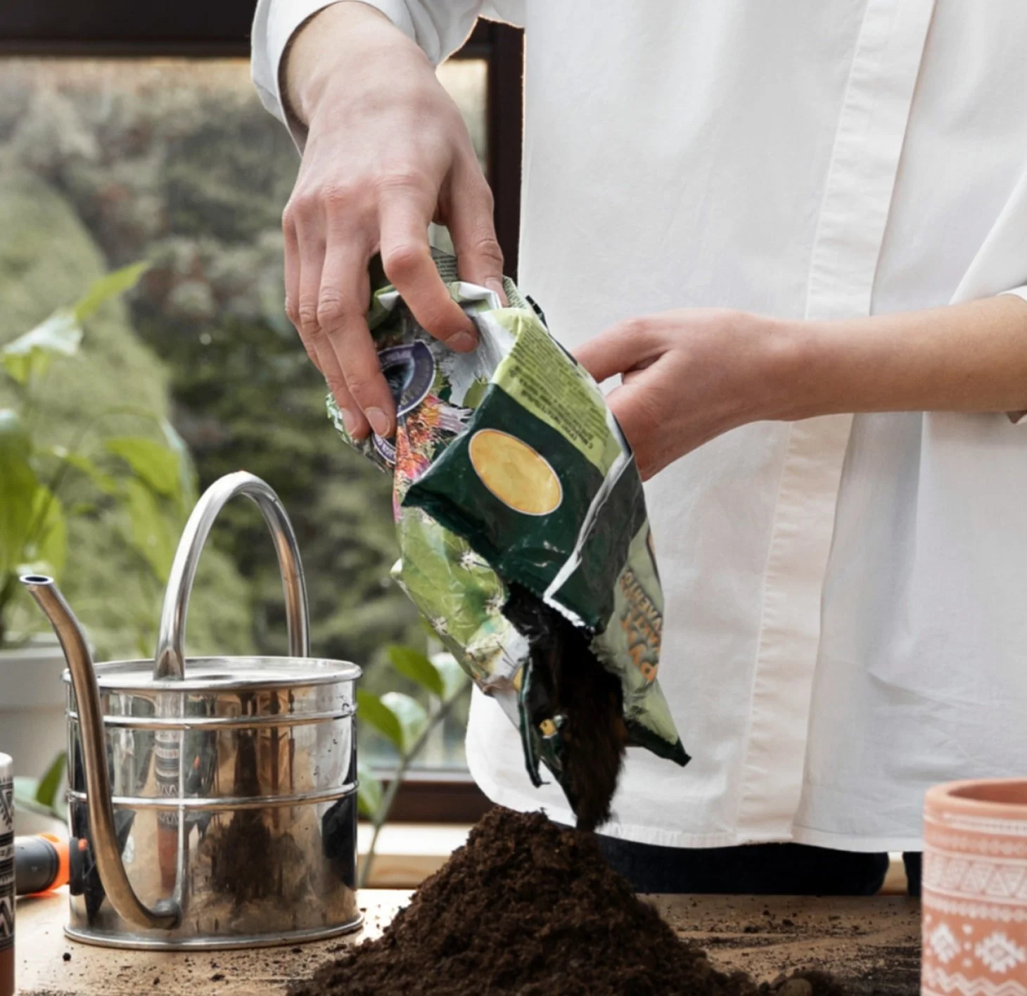 15 Plants you can easily grow in your own kitchen