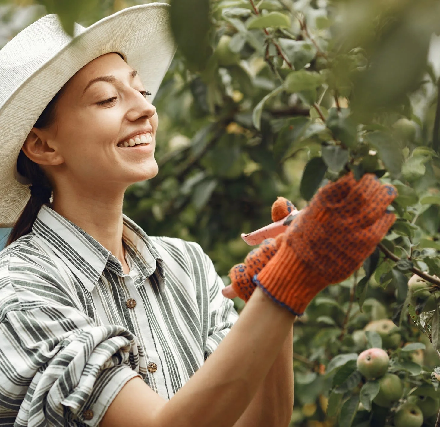 Tips to successfully grow your home garden