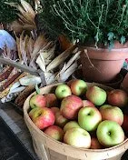 Why Families Prefer Local Apple Orchards Over Theme Parks