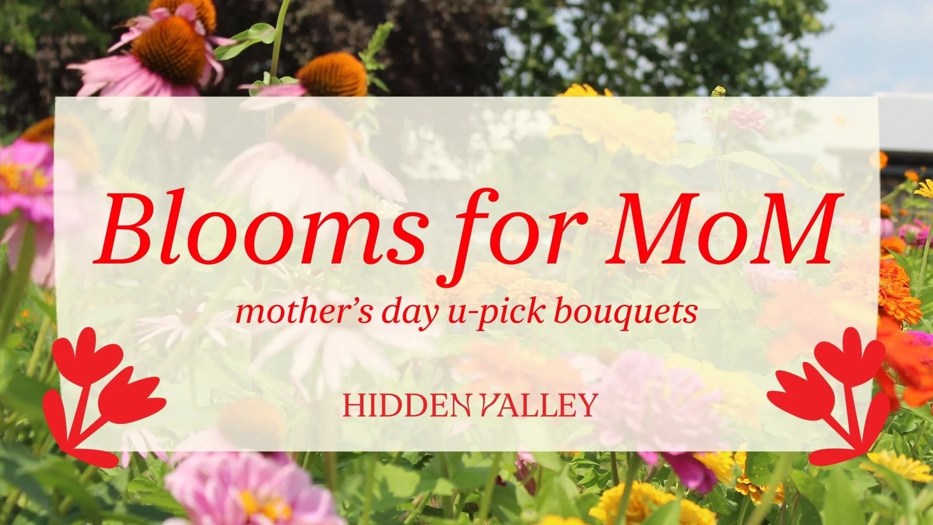 Blooms for Mom U-Cut