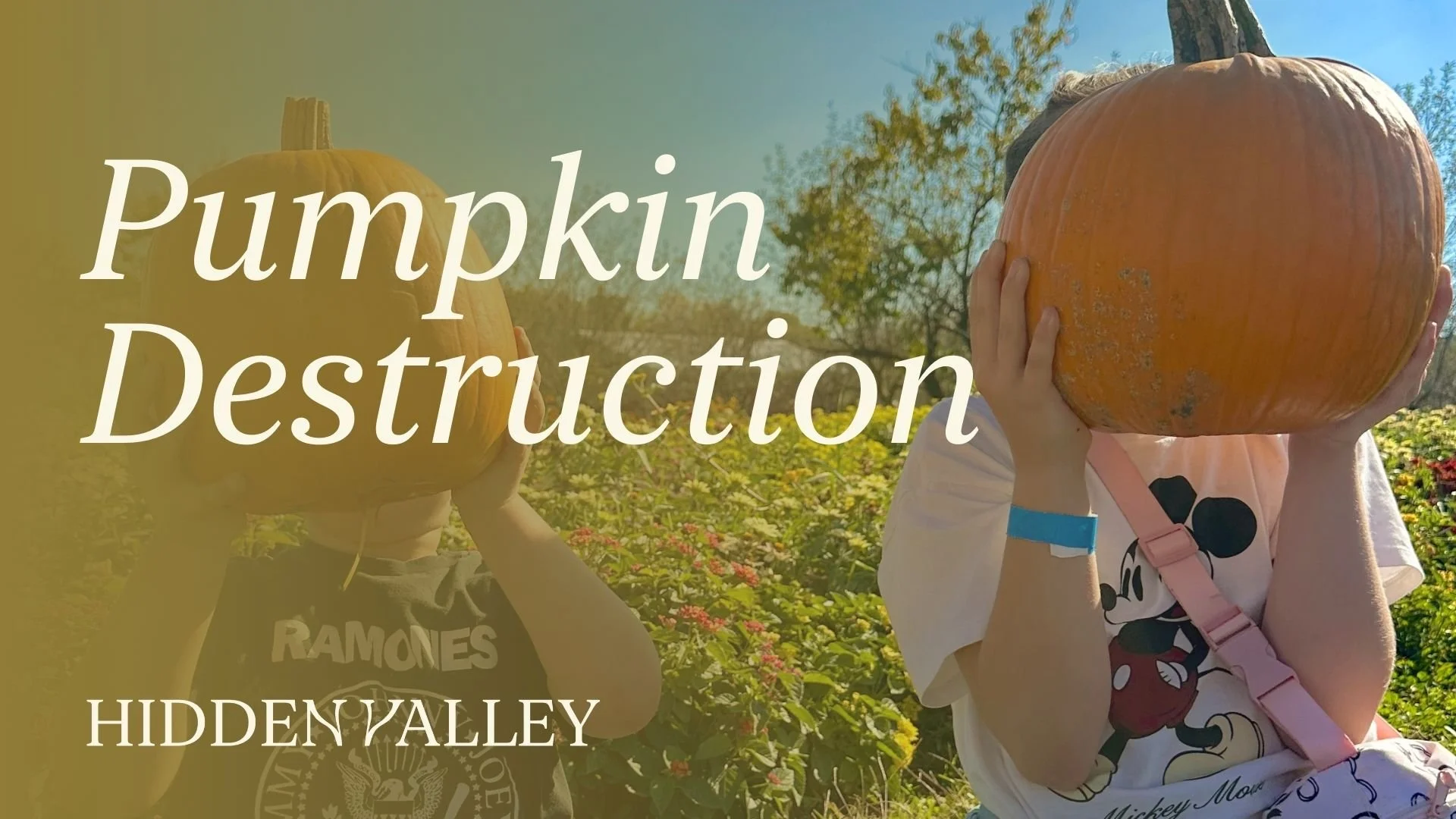 Pumpkin Destruction Day