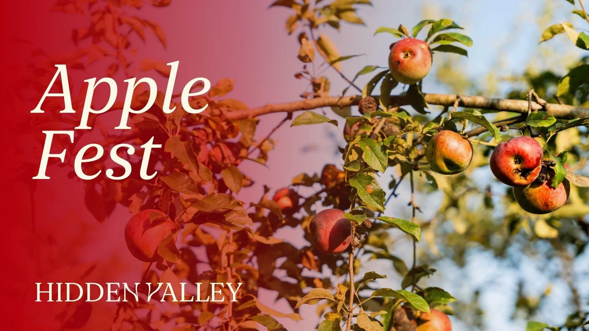 Apple Fest