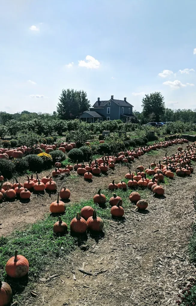 Fun Facts About the Pumpkins Grown at Hidden Valley Orchards