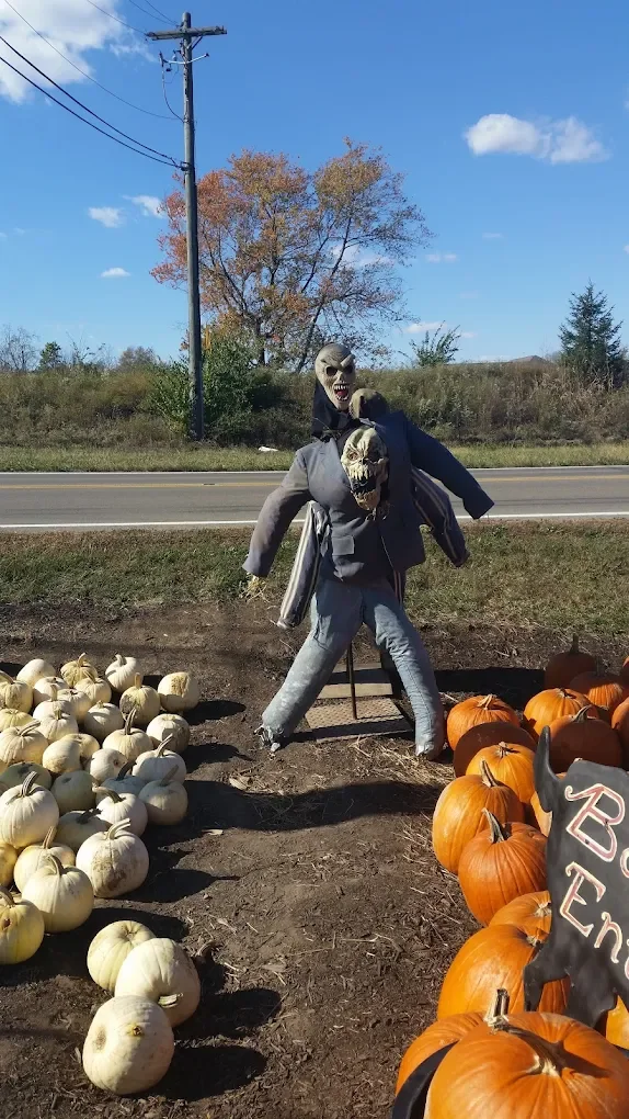 The Tradition of Pumpkin Picking at Hidden Valley Orchards: Why It’s a Fall Must