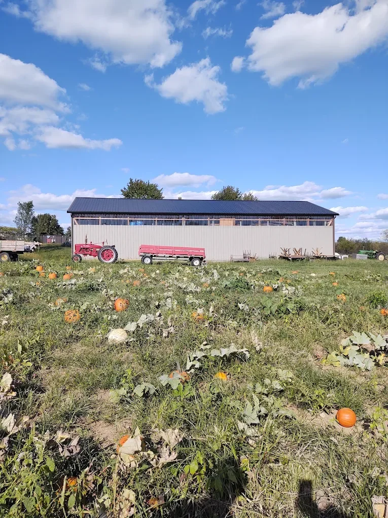 Pumpkin Picking Adventures: Tips for a Fun and Family-Friendly Day