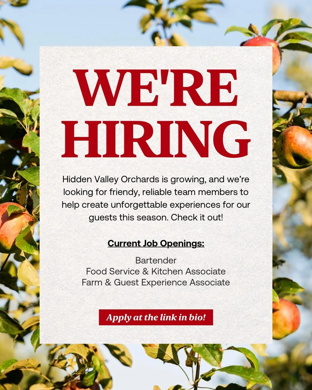 We&rsquo;re hiring at Hidden Valley Orchards! 📣

From welcoming families and supporting events to helping behind the scenes with food service, kitchen prep, and bartending - our farm team plays a huge role in creating the Hidden Valley experience. ?