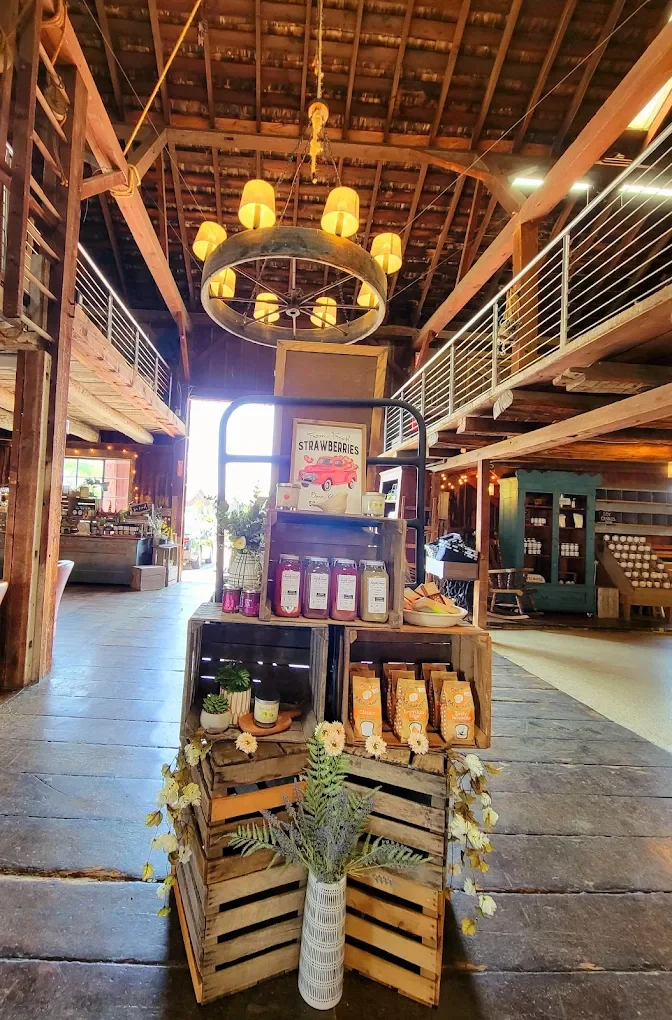 How to Make Homemade Peach Jam: A Simple and Delicious Recipe