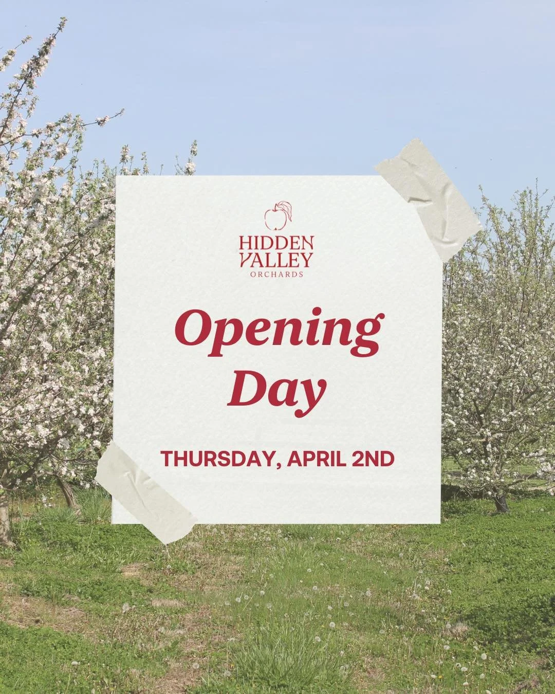 The wait is almost over! 🌸

Hidden Valley Orchards opens on April 2nd and we&rsquo;re celebrating with Pizza Night that evening. 🍕

Come back, hang out, and help us kick off the season. We&rsquo;ve missed you! ✨

#HiddenValleyOrchards #OpeningDay #
