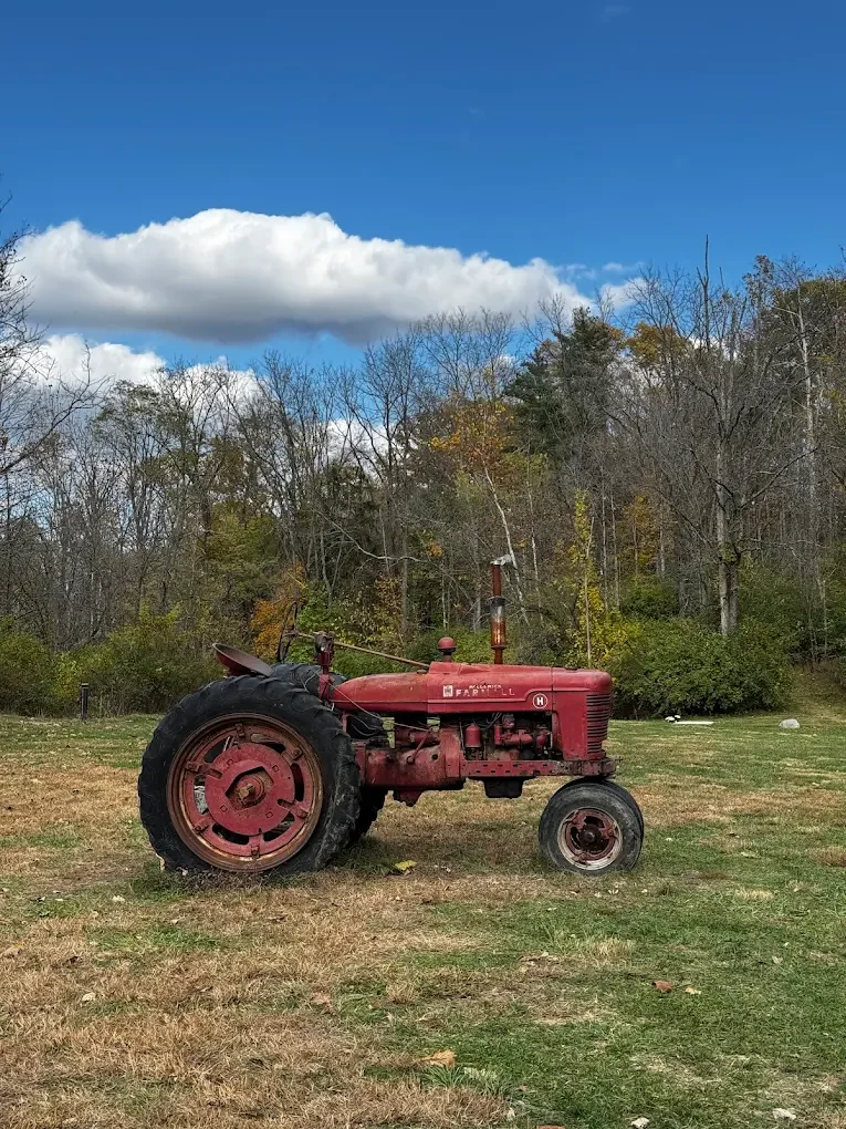How Weather Changes the Flavor of Apples Each Season