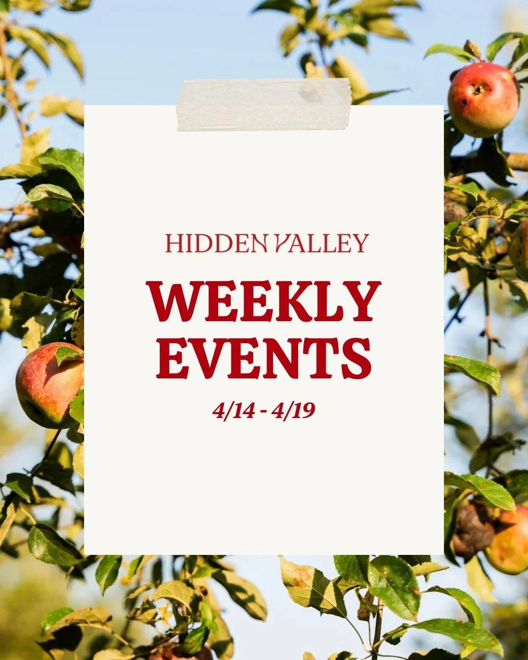 Here&rsquo;s what&rsquo;s happening at Hidden Valley this week ✨

From The Valley Derby to Story Time and everything in between, there&rsquo;s something for everyone at the orchard. Take a look and start planning your visit! 🐴✨

#HiddenValleyOrchard