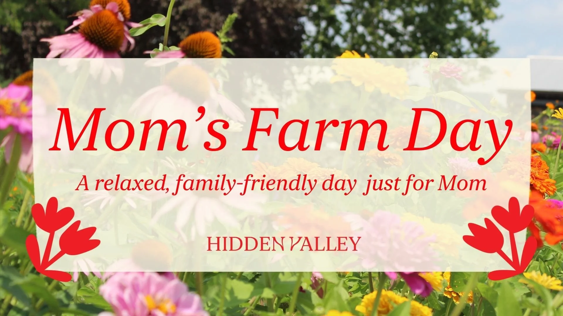 Mom’s Farm Day