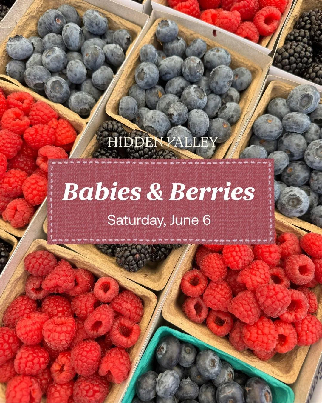 Mark your calendars for Babies &amp; Berries! 🐰🍓

Join us on June 6th for a full day on the farm with adorable baby animals, berry-inspired treats, and hands-on fun for the whole family - from meeting bunnies, chicks and piglets to enjoying strawbe