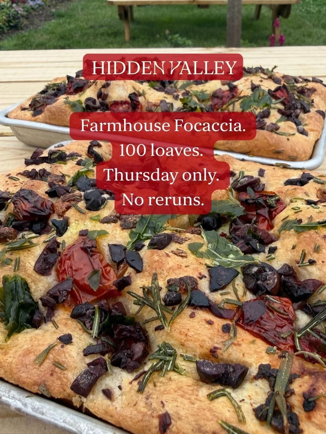 This Thursday we're dropping our Farmhouse Focaccia &mdash; a nearly 1-lb slab of golden bread from our farm kitchen, loaded with sea salt, tomatoes, olives, herbs, and roasted garlic. 100 loaves starting at 10am. 

Reserve your loaf &mdash; link in 