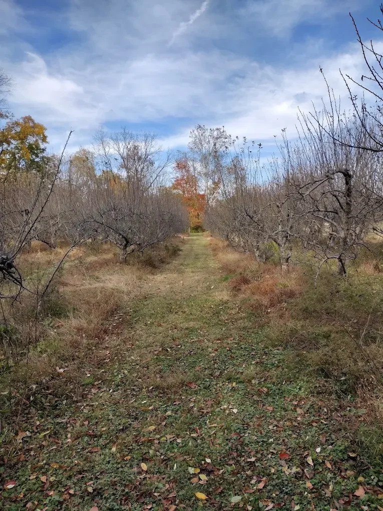 Getting Lost (in the Best Way) in Hidden Valley Orchards’ Corn Maze: Tips &amp; What to Expect
