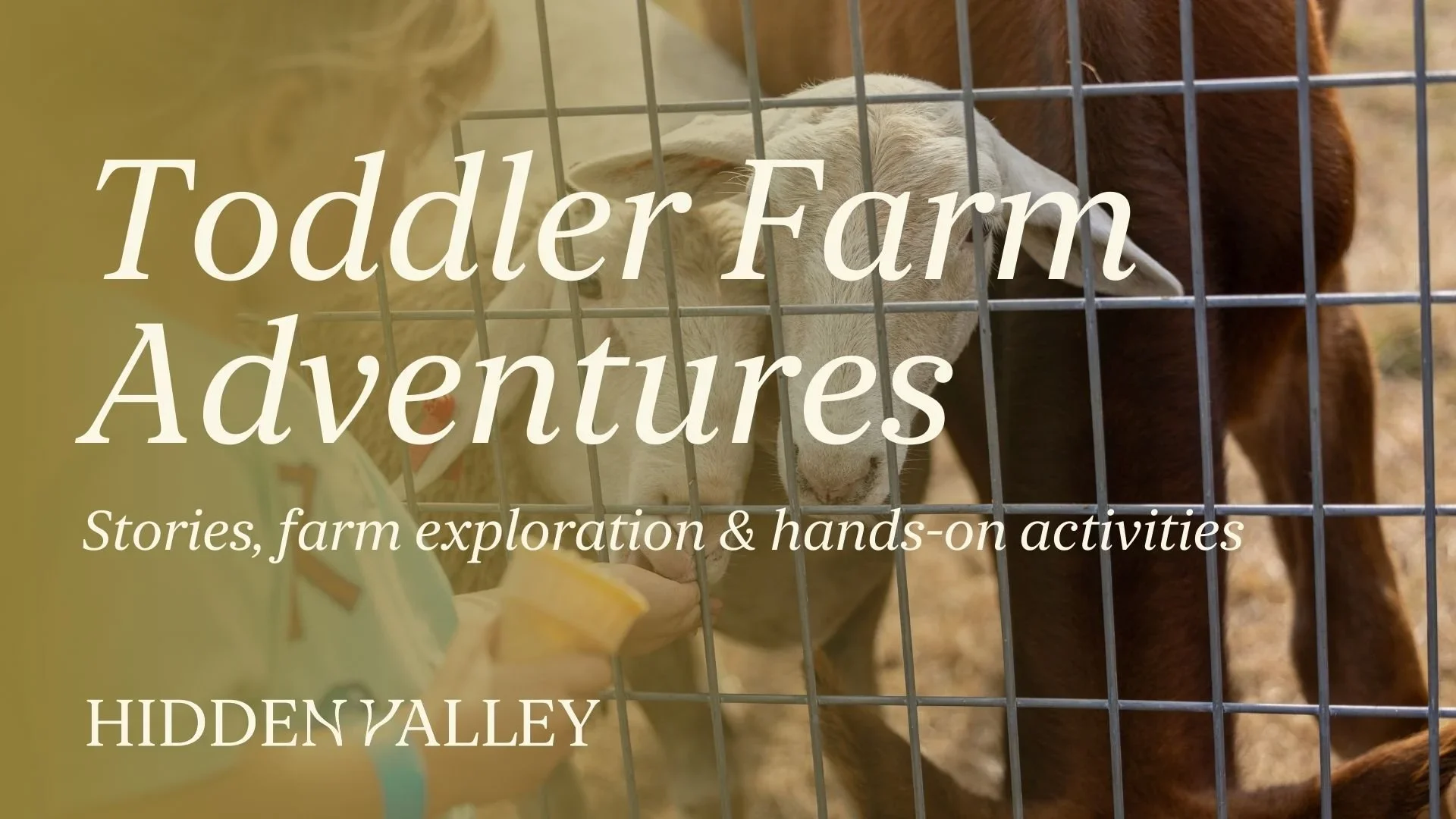 Toddler Farm Adventures at Hidden Valley Orchards: The Perfect Morning for Little Ones