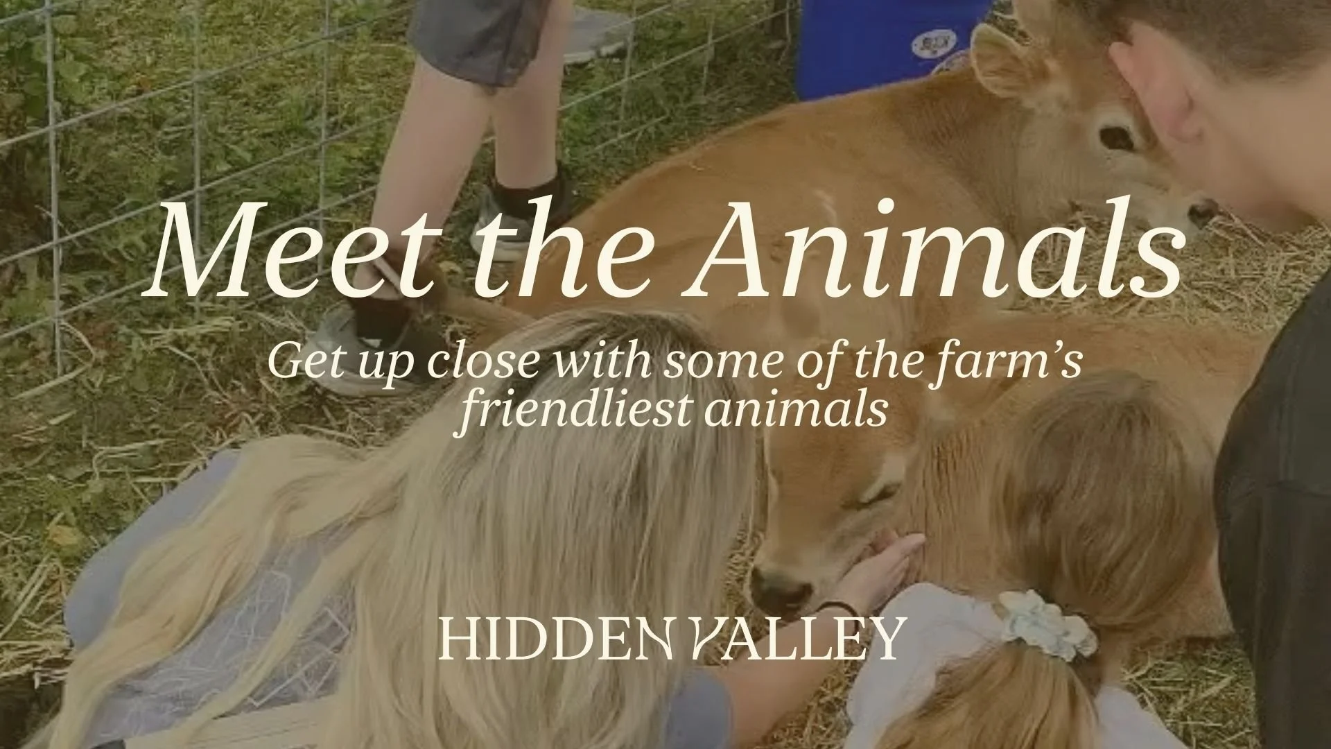 Meet The Animals