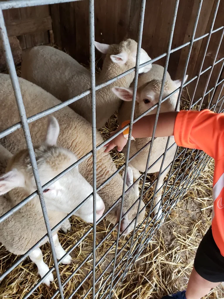 15 Things to Do at an Apple Orchard With Kids (A Parent's Guide)