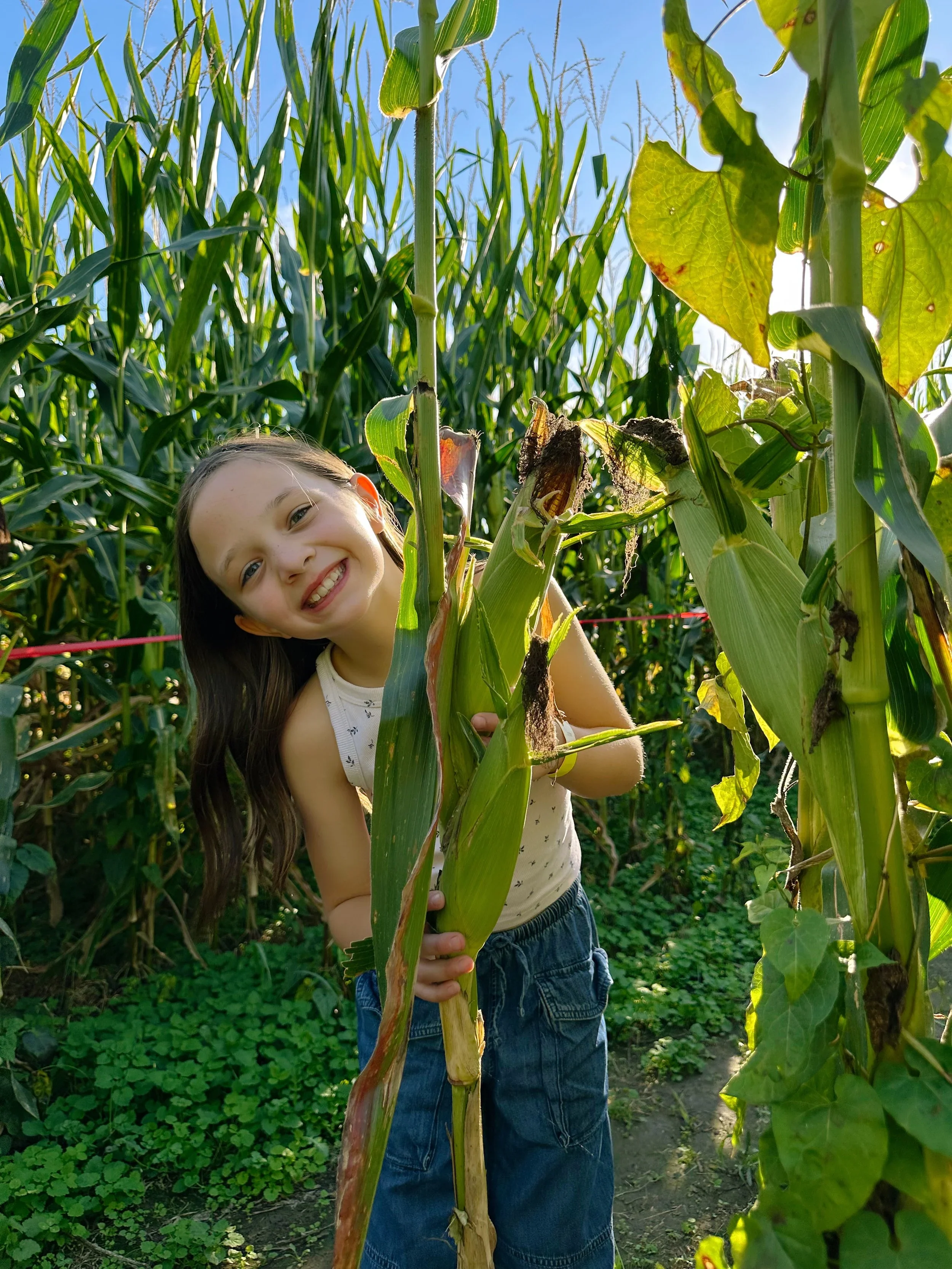 What to Expect at a Farm Day Trip: A Season-by-Season Guide to Hidden Valley Orchards