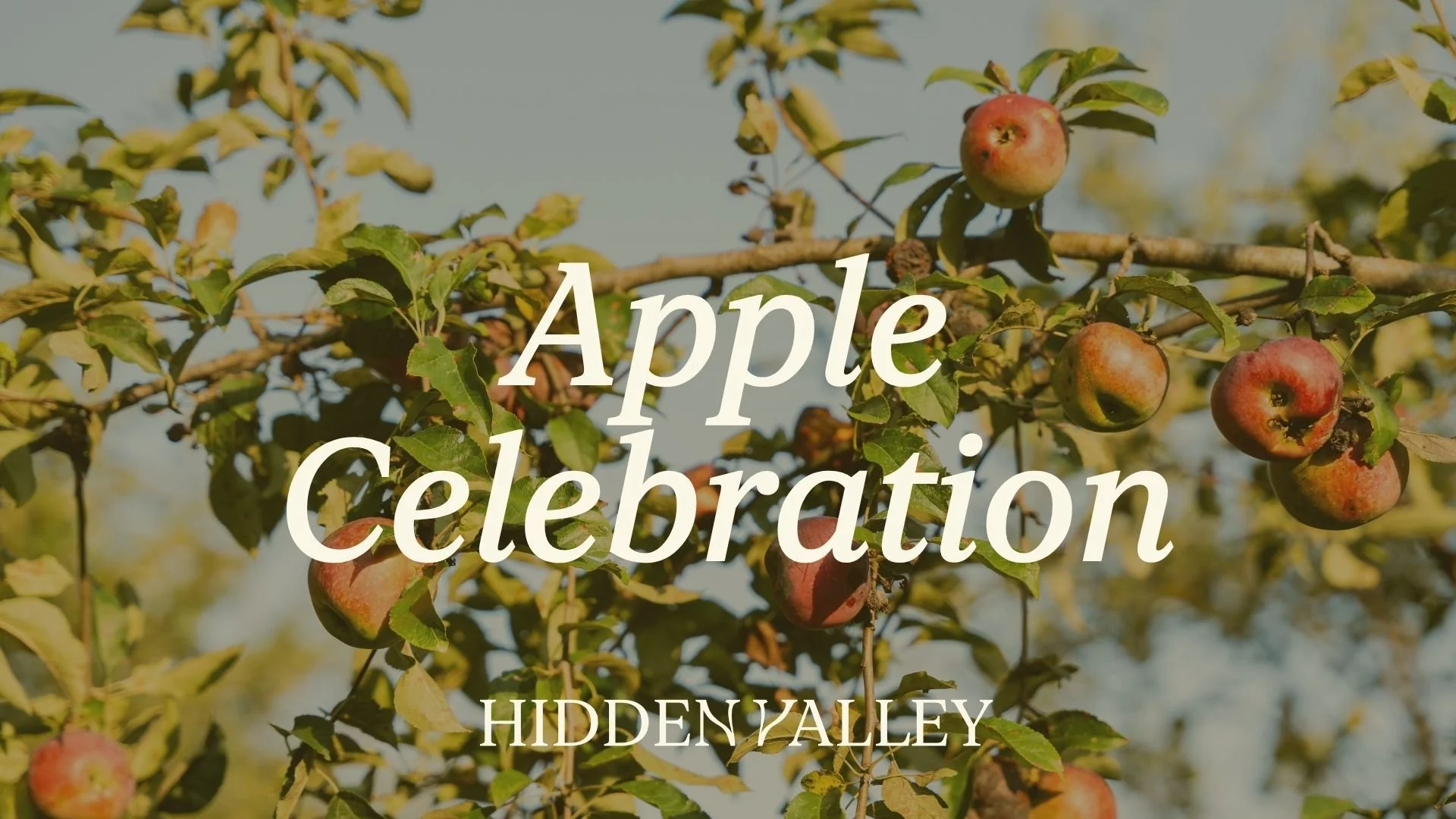 Apple Fest
