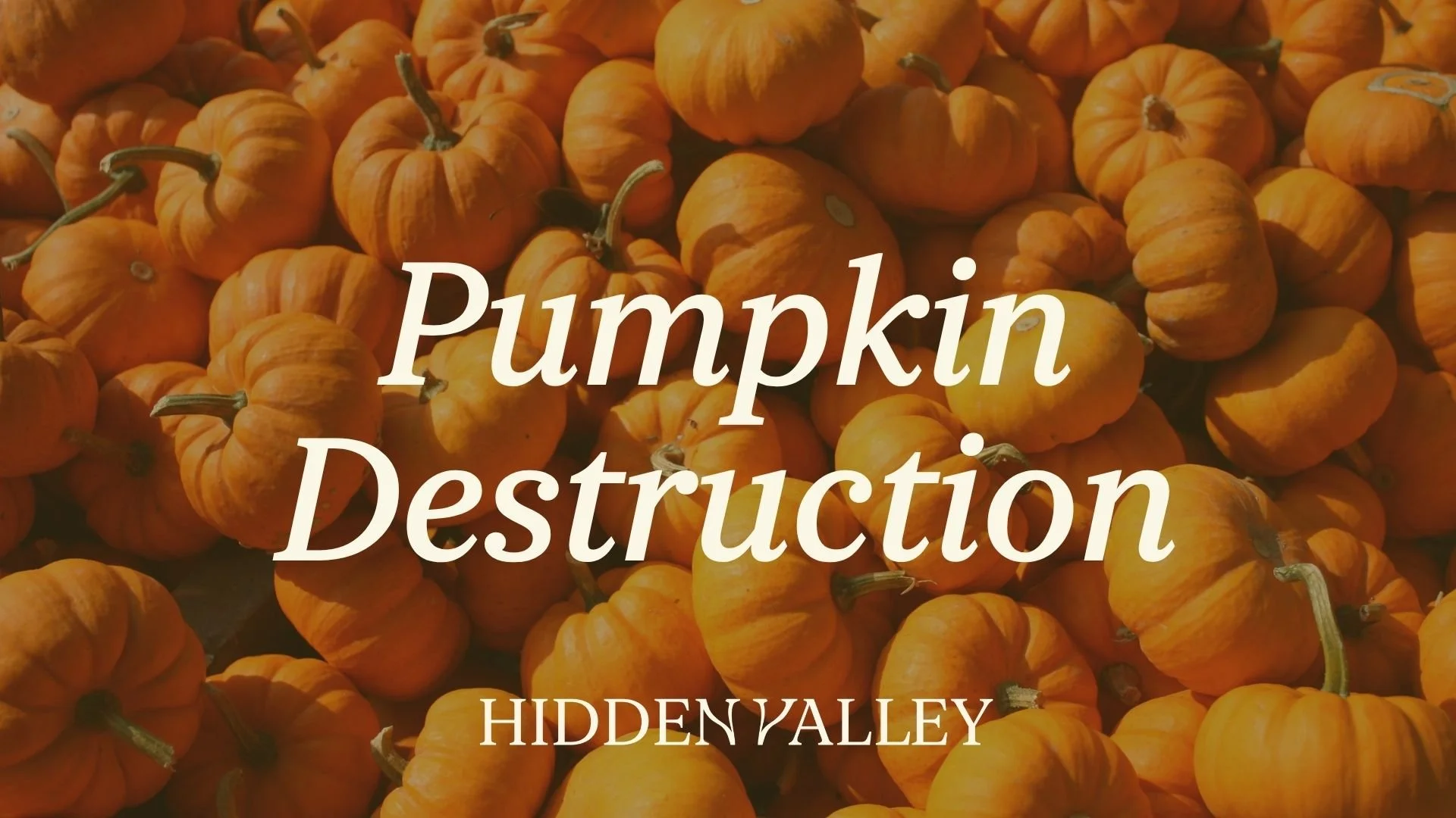 Pumpkin Destruction Day