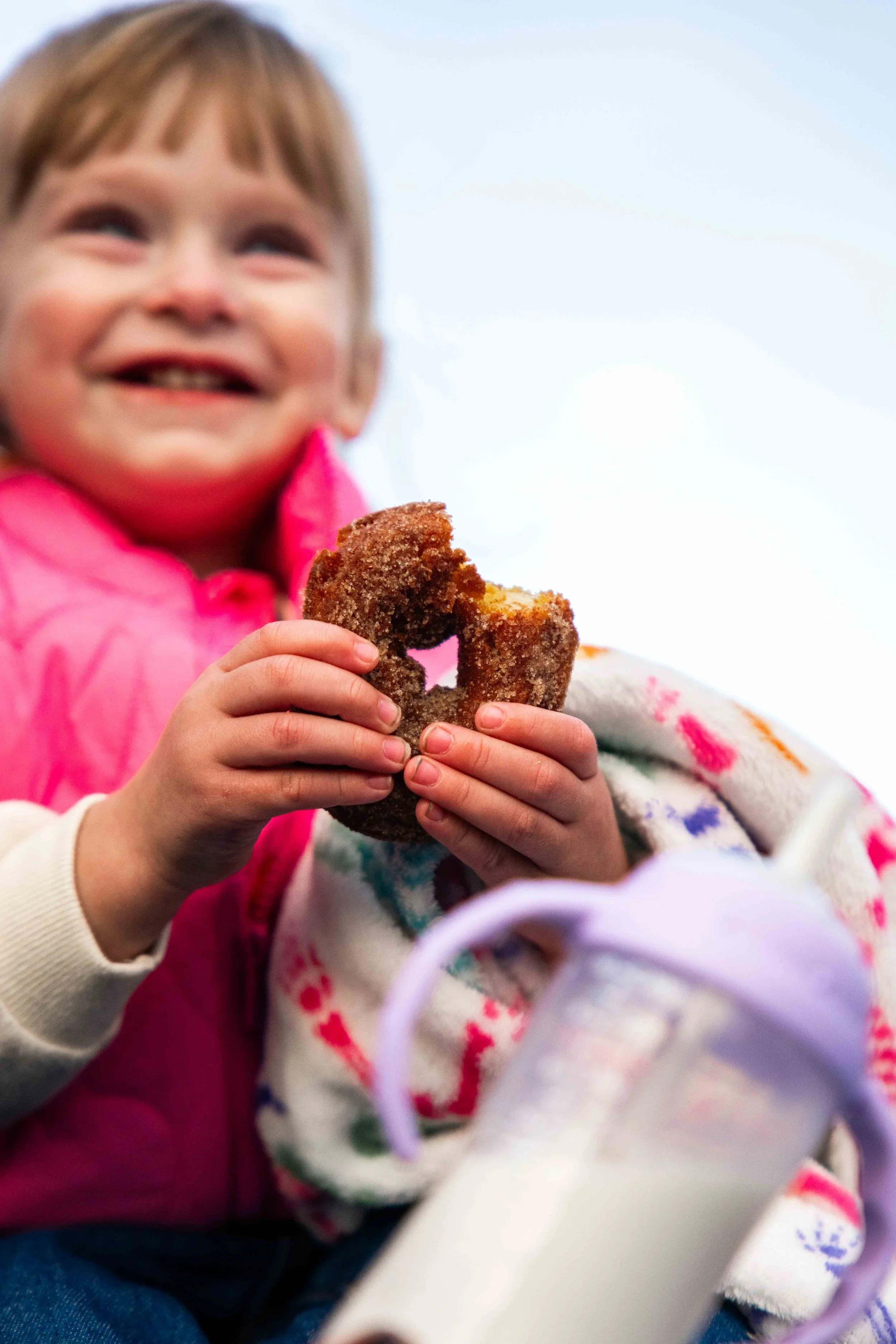 8 Healthy Apple Snacks Kids Will Actually Eat
