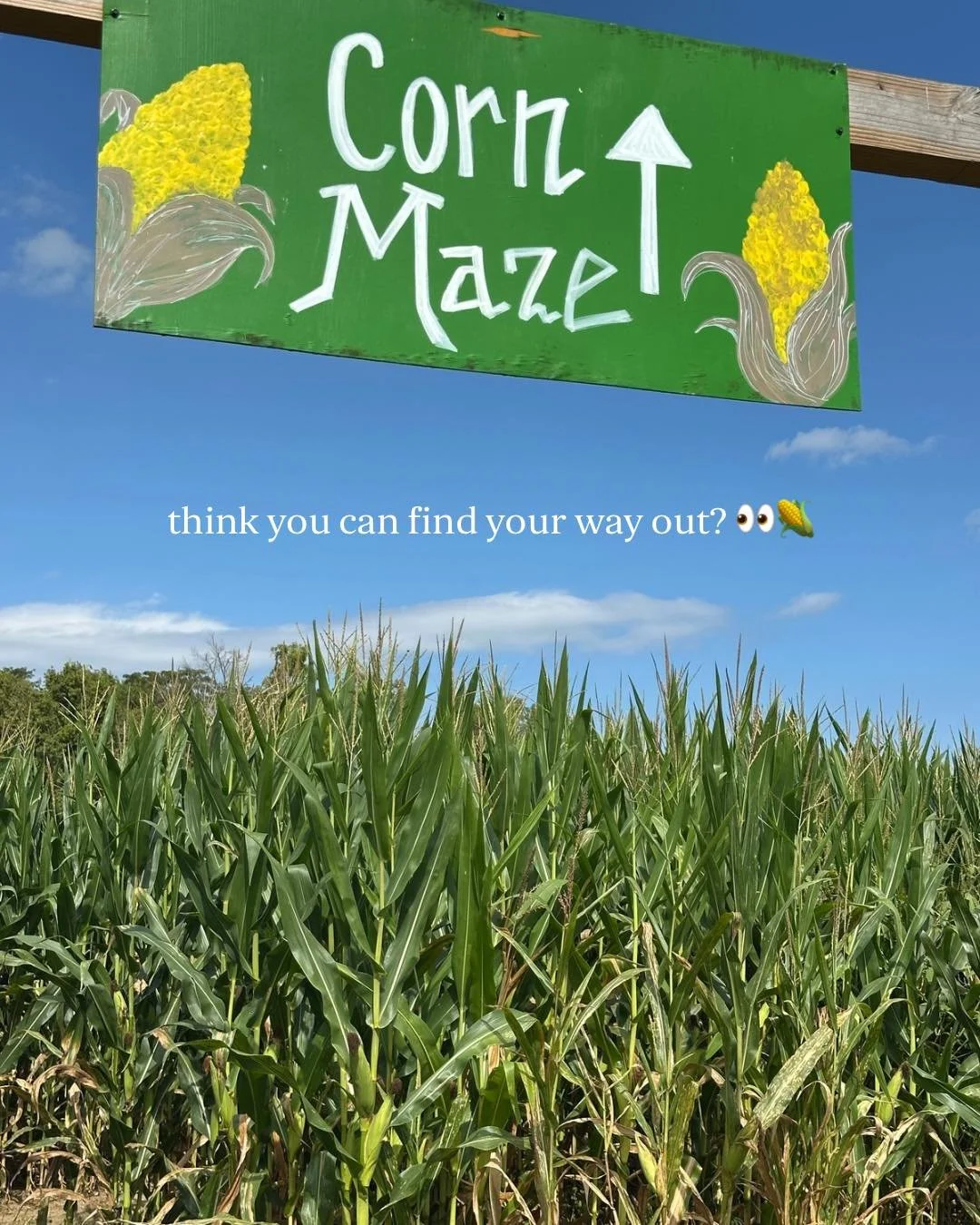 Grab your maze partners and put your sense of direction to the test at Hidden Valley! 🌽

The corn maze is included in ALL Fall Packages, so make sure to grab yours through the link in bio and make a day of it! 🍂✨

#HiddenValleyOrchards #CornMaze #F