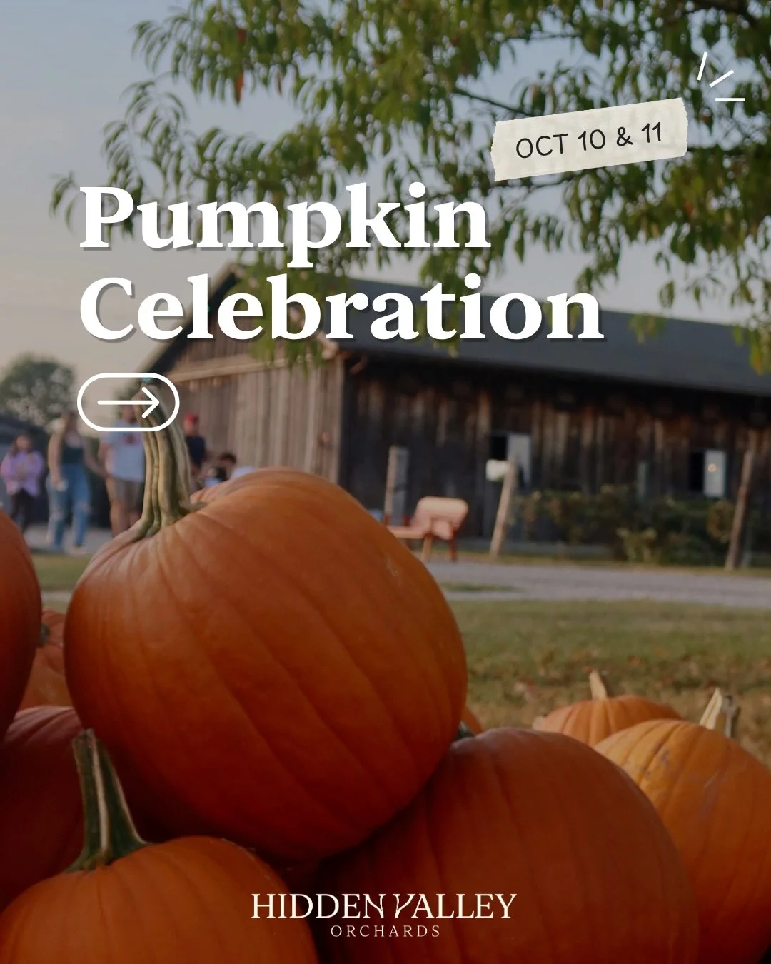Pumpkin Celebration is coming to Hidden Valley on October 10 &amp; 11! 🎃

Spend the weekend wandering the pumpkin patch, finding your perfect pumpkin, snapping all the fall photos, and enjoying plenty of food, drinks, and farm fun along the way. 📸
