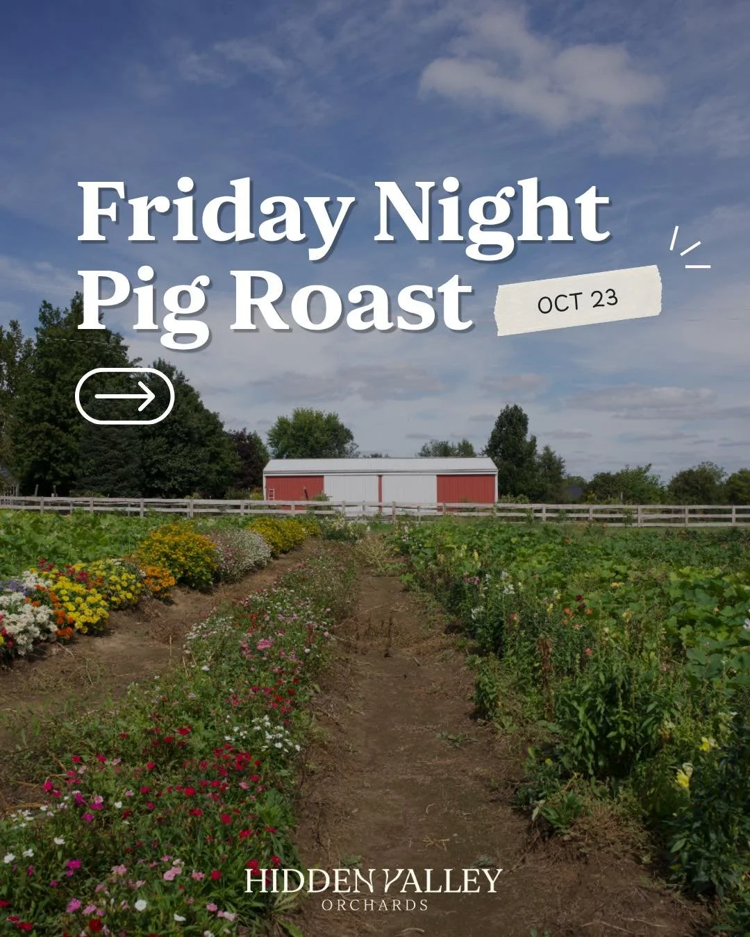 You asked for more, so we&rsquo;ve added another Friday Night Pig Roast at Hidden Valley! 🐷

Join us for an evening of slow-roasted pork, delicious sides, refreshing sips, and plenty of fall atmosphere at the orchard. 🍂

Packages are limited, so re