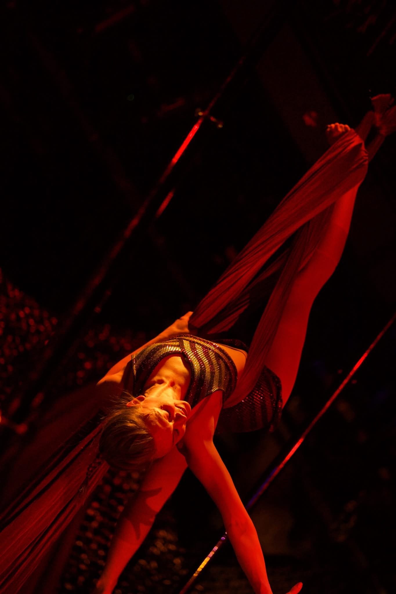 A performer on a dimly lit stage, holding an aerial silk and executing a pose. The stage has red lighting, highlighting the performer and the silk.