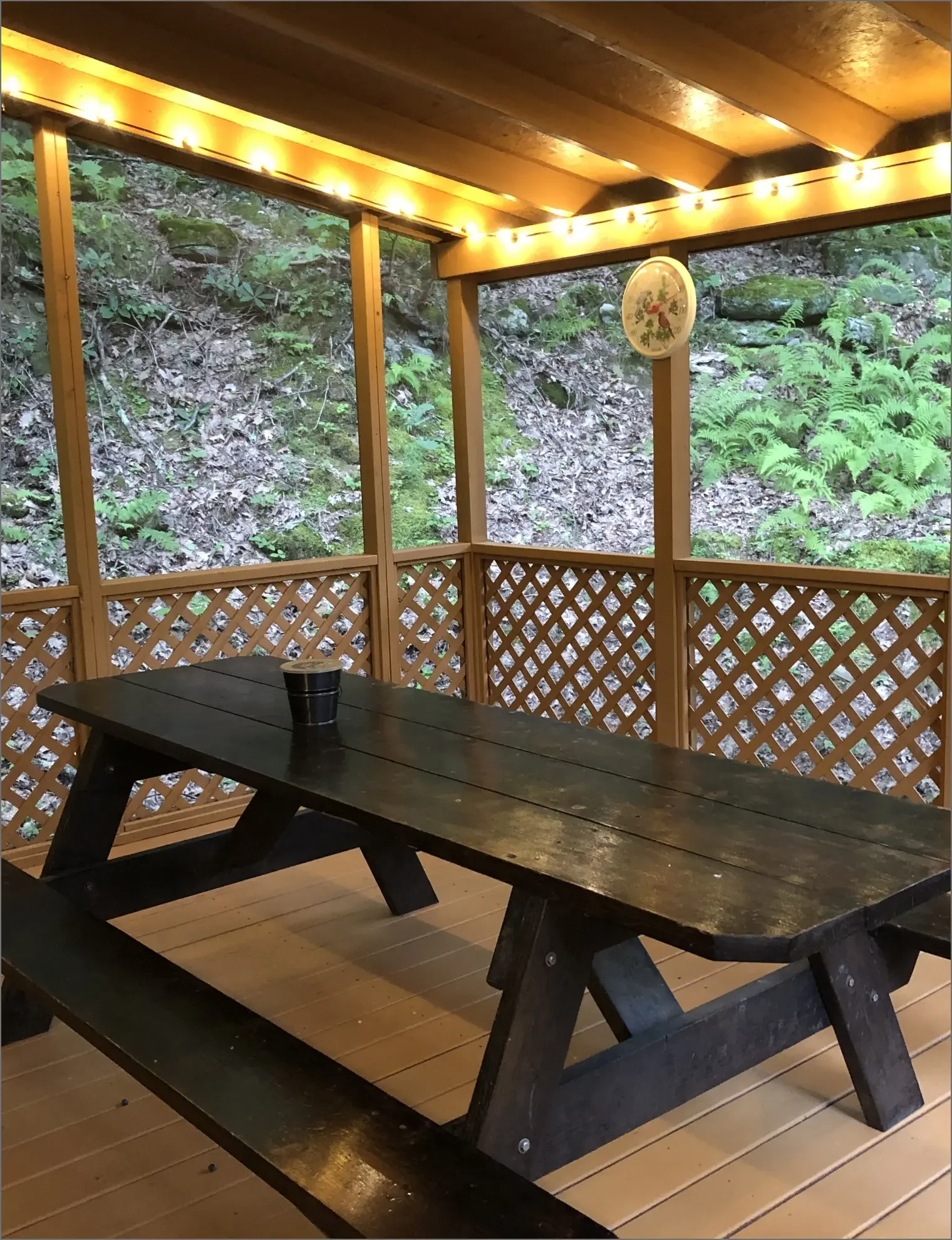 A screened porch with string lights, a dark wooden picnic table, and a small black cup. The porch overlooks a wooded, green hillside.