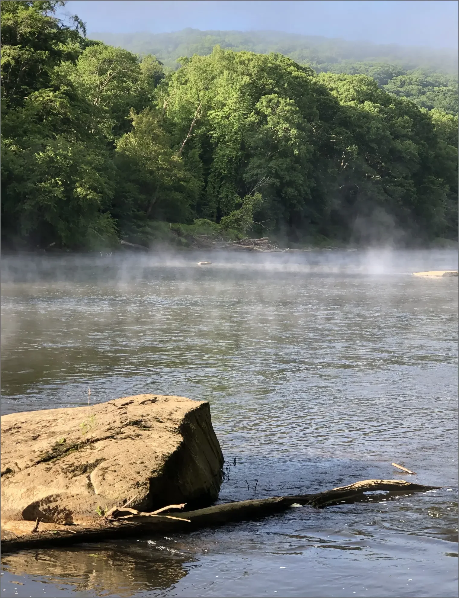 A river with a large rock and fallen logs in the foreground, fog rising above the water, and a dense green forest with hills in the background.