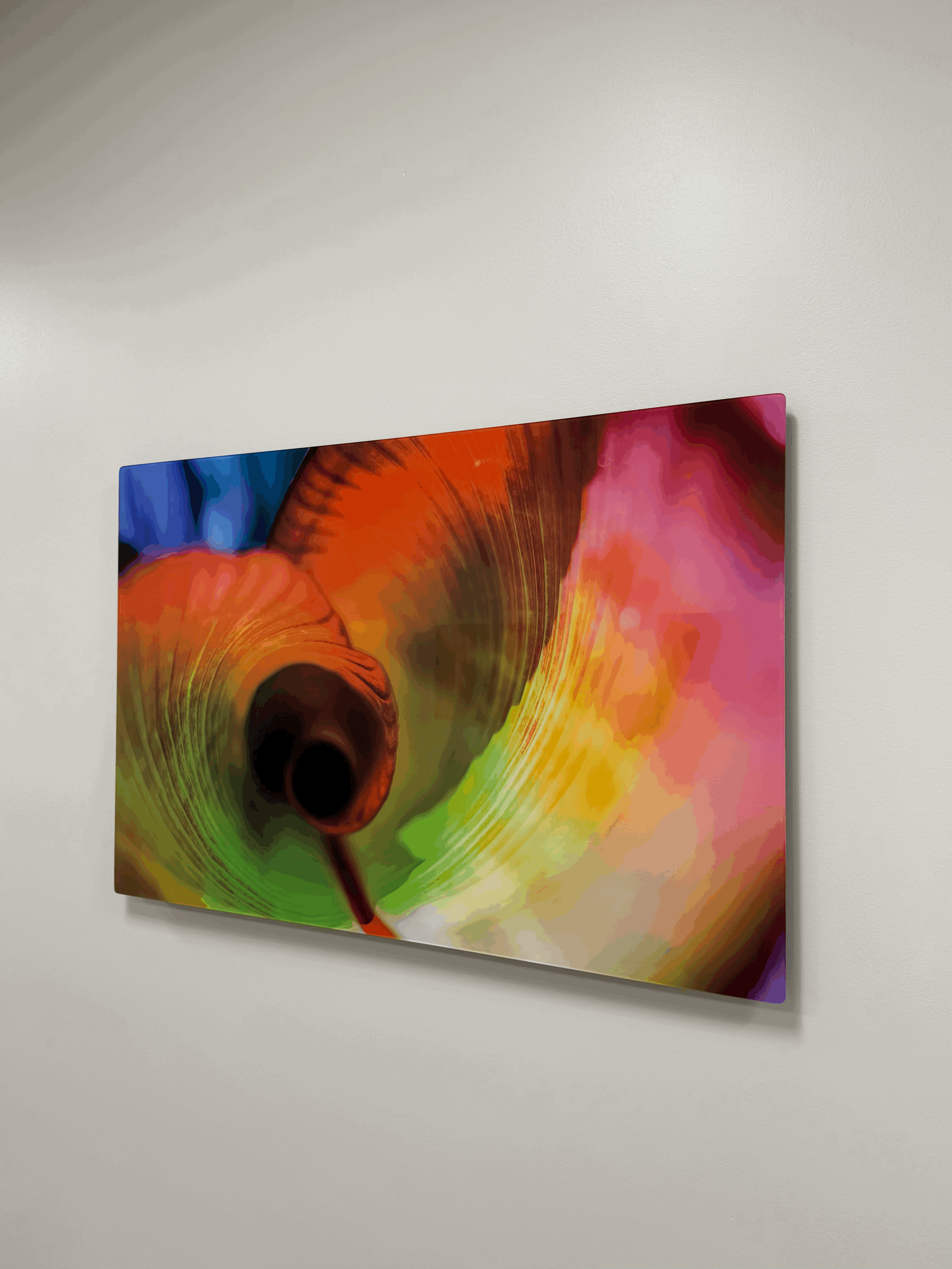Acrylic Plexiglass Prints