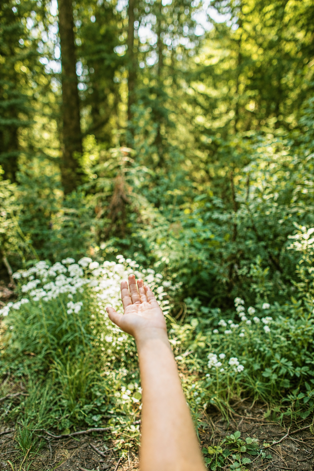 Discovering what worked for me