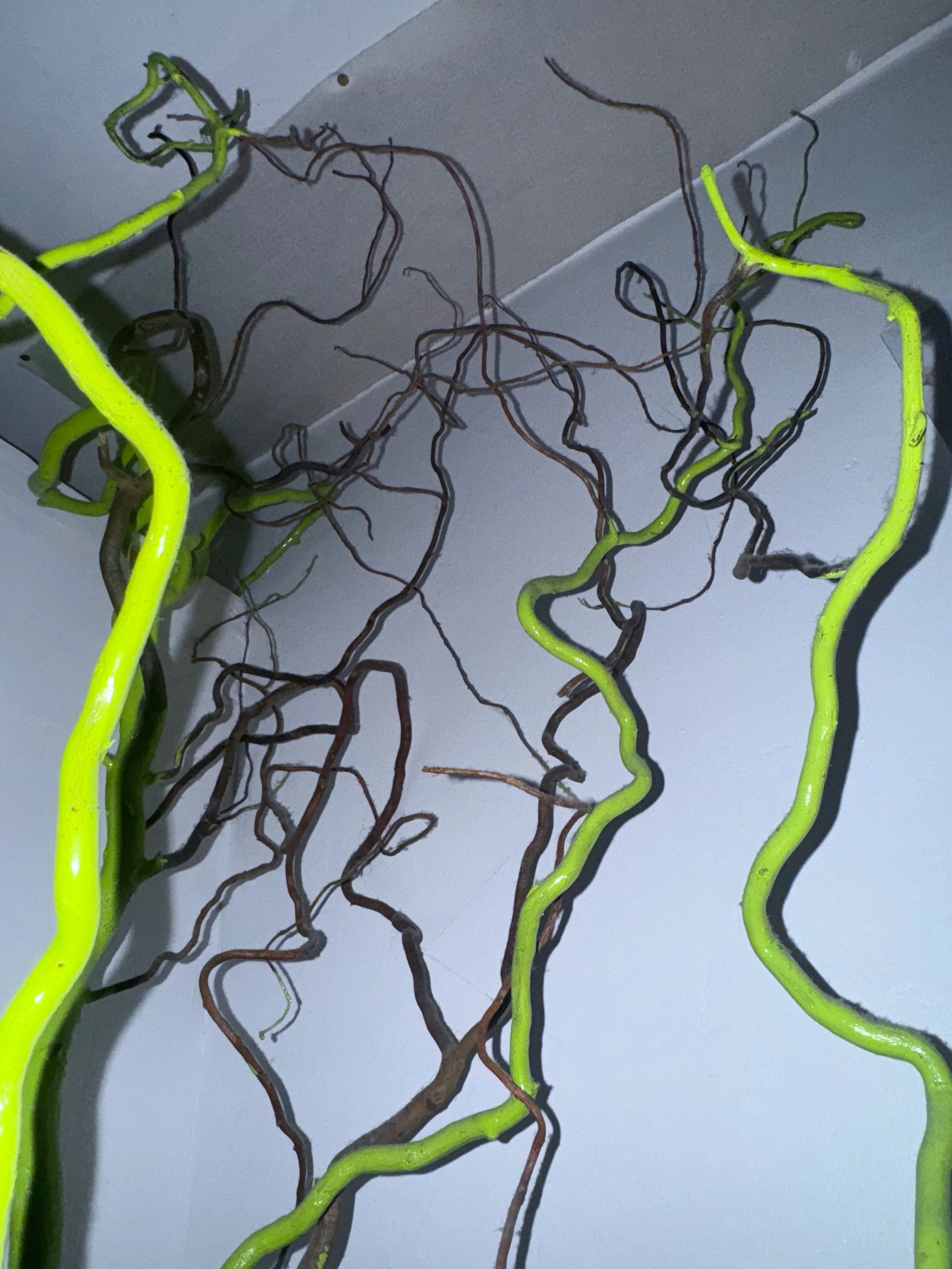 Flashing Fake Plants